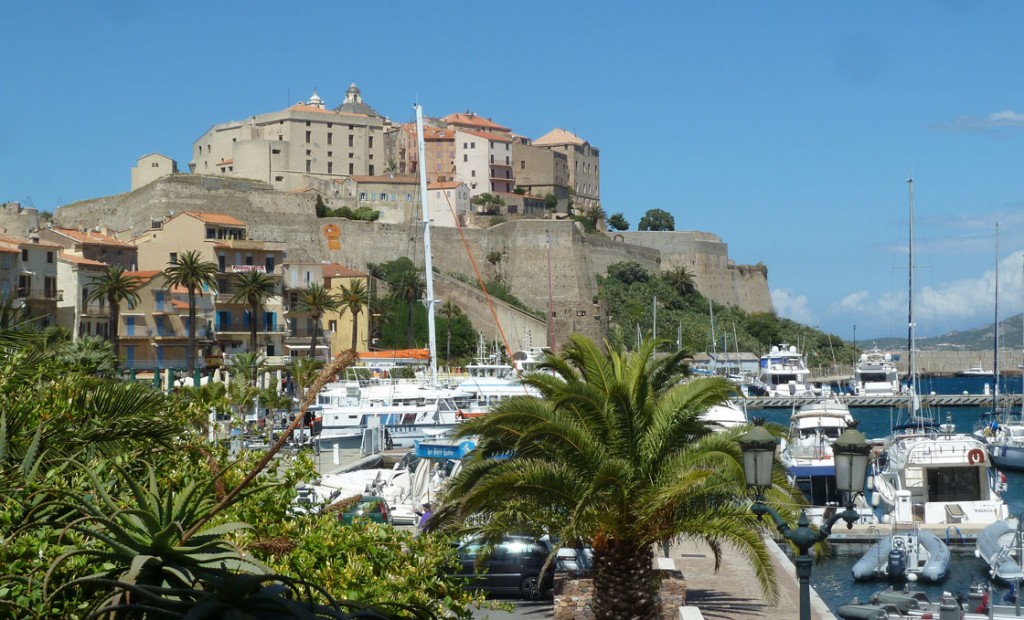 calvi