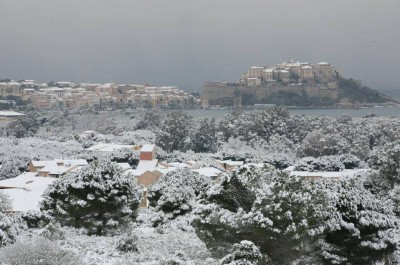 calvi