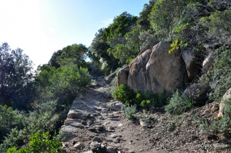 sentier des cretes de bovais yannick