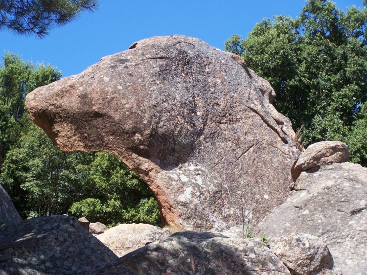 tète de chien -calanche de Piana