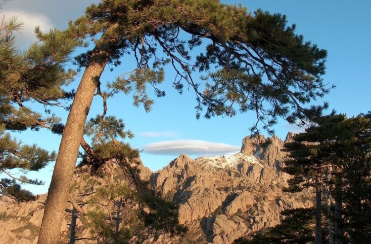 vue du massif de bavella