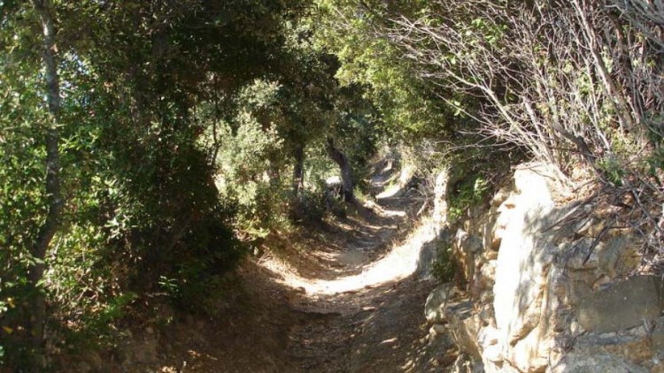 chemin pédestres de notre dame de la serra