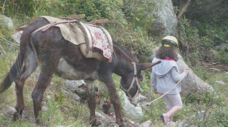 location anes en balagne