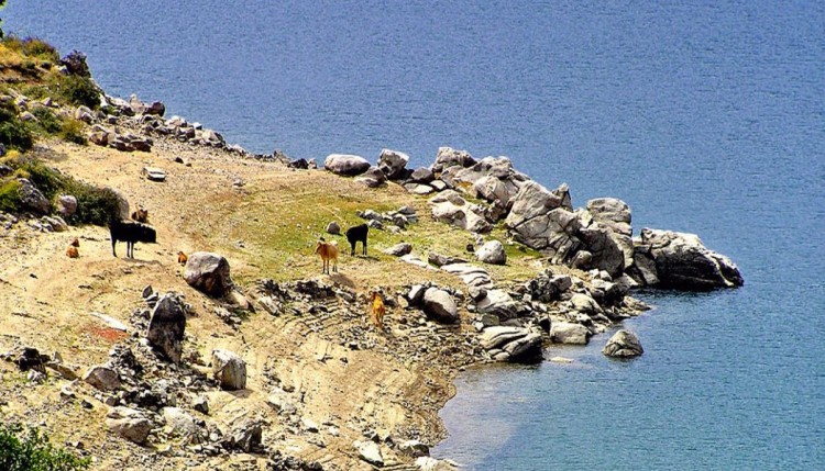 lac de claccuccia rive nord