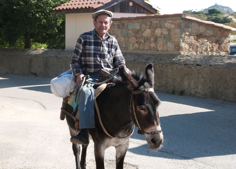 corse sur son âne à Sant Antonino