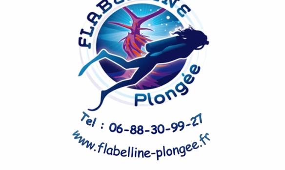 flabelline-plongee-1