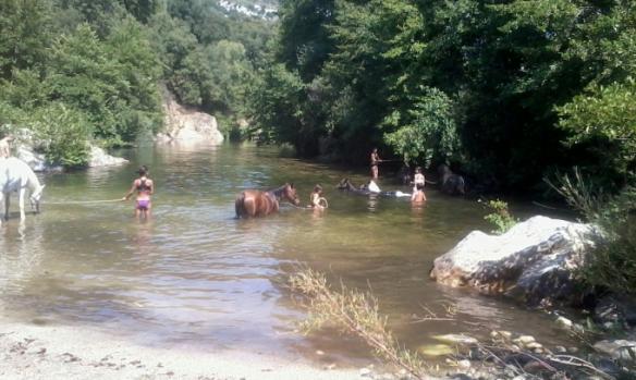 domaine-equestre-de-croccano-1