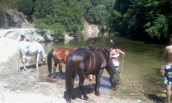 domaine-equestre-de-croccano-2