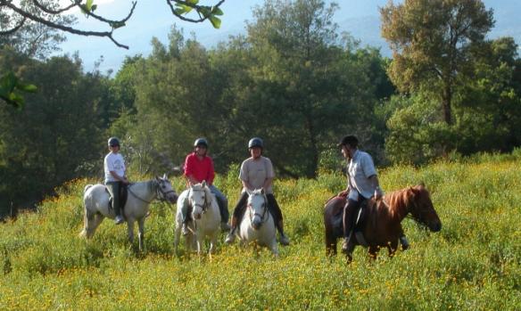 domaine-equestre-de-croccano-3