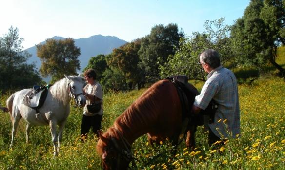 domaine-equestre-de-croccano-6