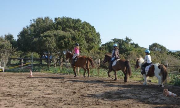 centre-equestre-la-plage-10