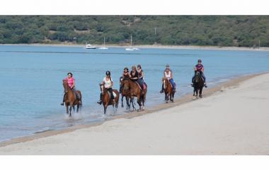 centre-equestre-la-plage-1