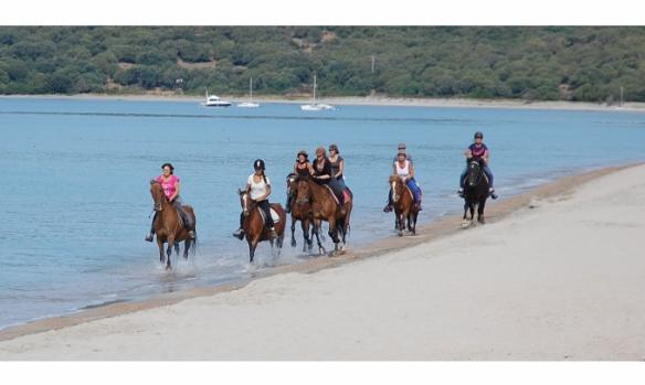 centre-equestre-la-plage-1