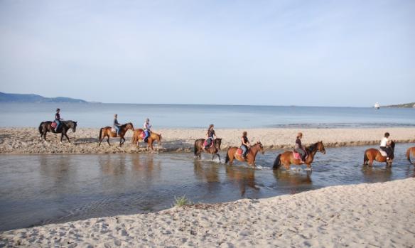 centre-equestre-la-plage-4