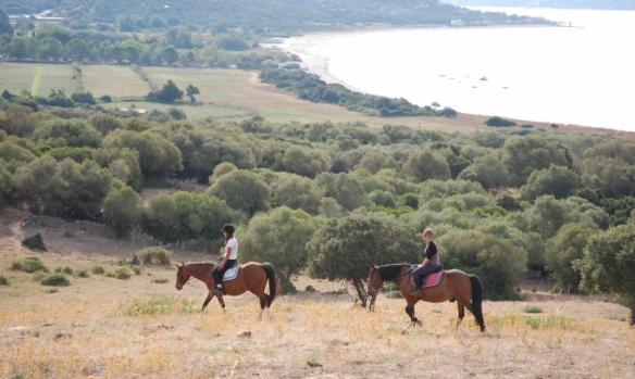 centre-equestre-la-plage-5