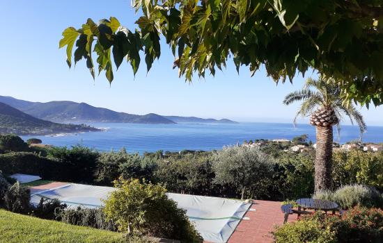 Location Corse villa