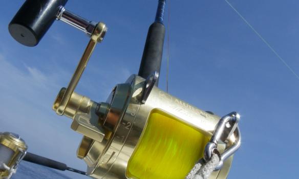 Bastia Offshore Fishing Club