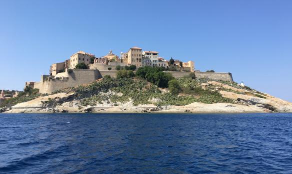 CALVI PLONGEE