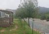 E CANICCE