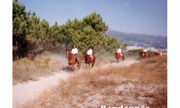 e-e-h-c-ecole-d-equitation-de-haute-corse--3