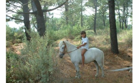 e-e-h-c-ecole-d-equitation-de-haute-corse--7