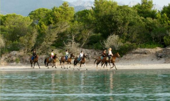 country-horse-st-lucie-de-porto-vecchio-2