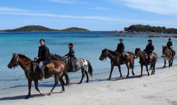 country-horse-st-lucie-de-porto-vecchio-3