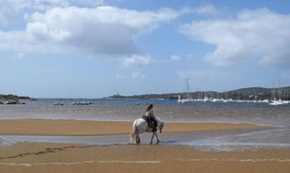 country-horse-st-lucie-de-porto-vecchio-4