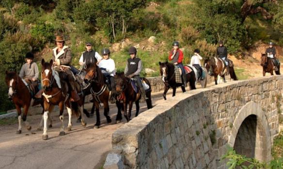 country-horse-st-lucie-de-porto-vecchio-7